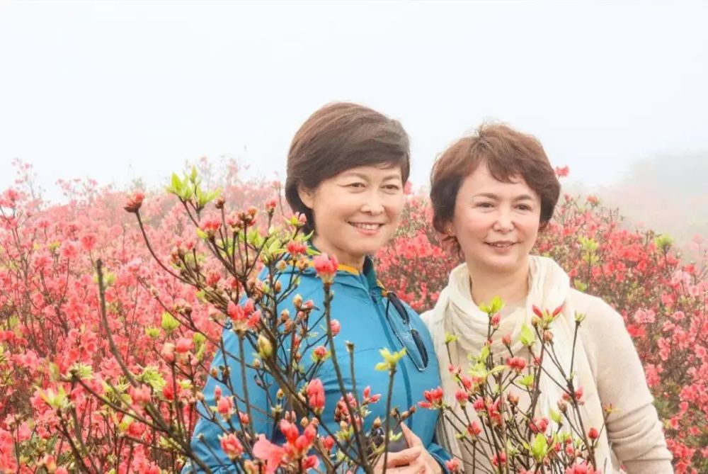 "石城有了杜鹃,就有了更美的石城 跟着敬一丹老师来石城寻美吧