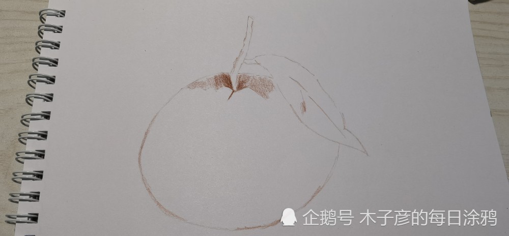 【彩铅画】手绘橘子一个