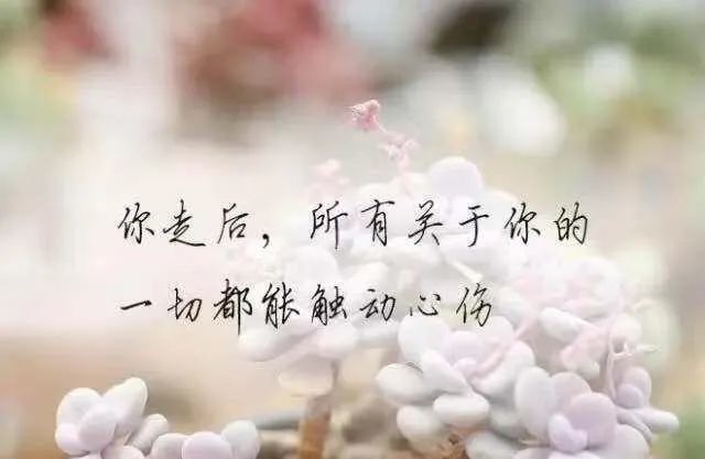 对某人失望心寒的说说,失望到闭口不言的句子