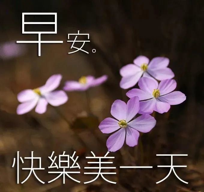 6月21日夏至群发清晨早上好问候祝福动态表情图片 早安问候语及暖心的