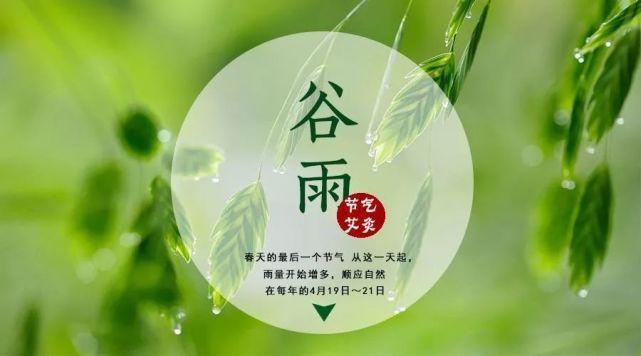 2021谷雨节气祝福语暖心句子,祝你:谷雨播种,来日丰收