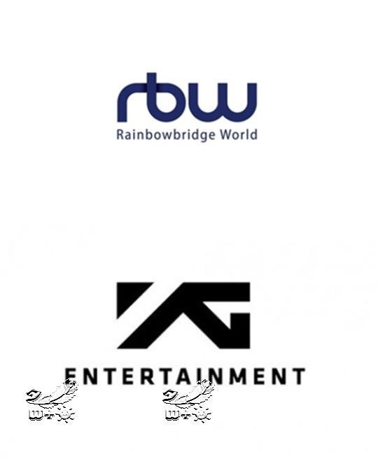hybe ithacarbw wm,kpop合并,中小奇迹再难找?