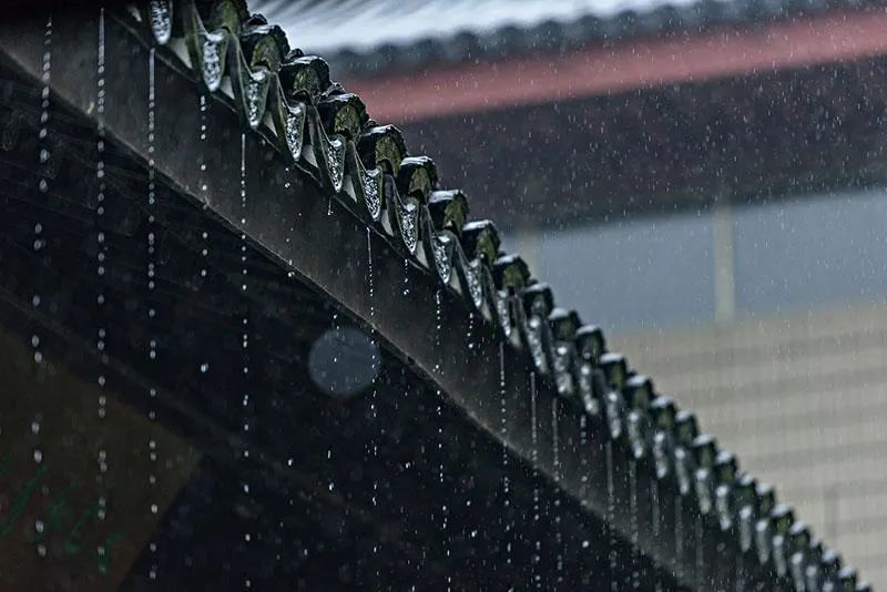 余光中|听听那冷雨