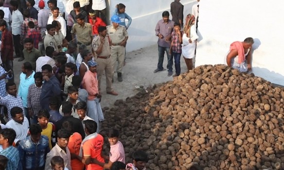 印度上千村民互扔牛粪送祝福现场粪便满天飞