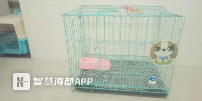 南京宠物航空箱