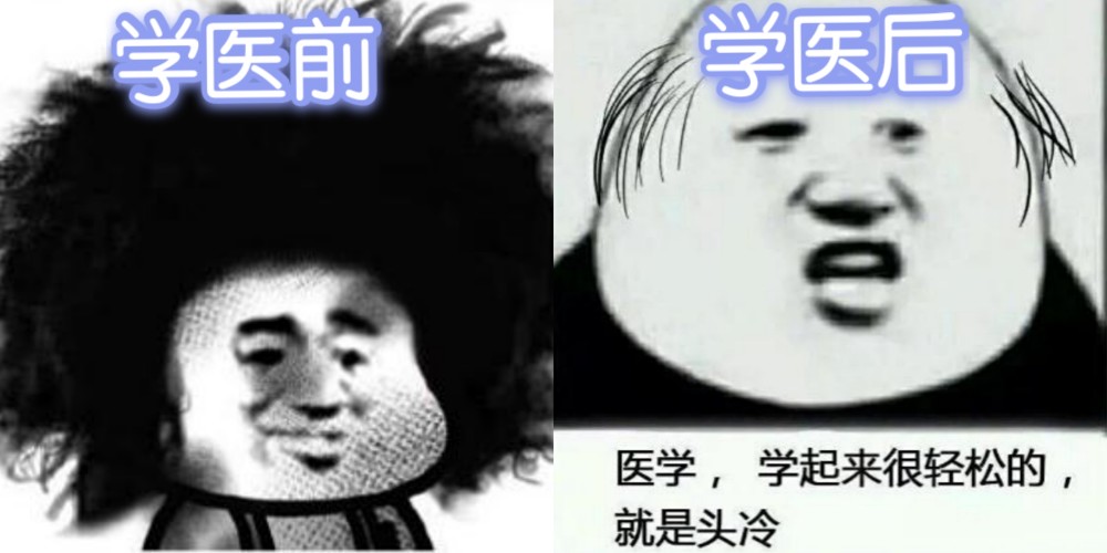 学医前vs学医后,4张图完美诠释,难怪学医的都劝人说别