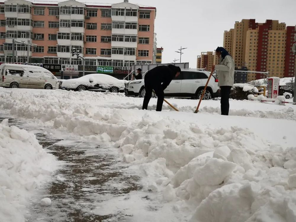 昨日呼伦贝尔大雪最深24厘米!内蒙古今日多地仍有大风雨雪