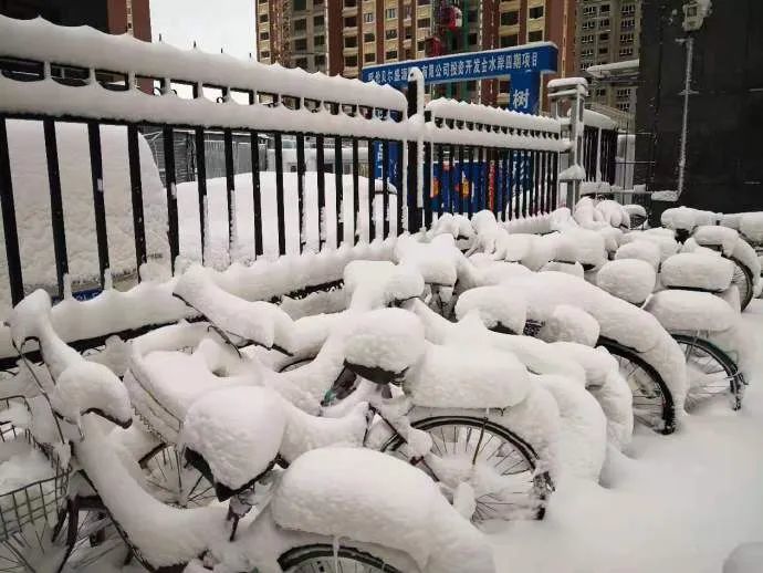 暴雪封城!昨日呼伦贝尔大雪最深24厘米!内蒙古今日多地仍有大风雨雪