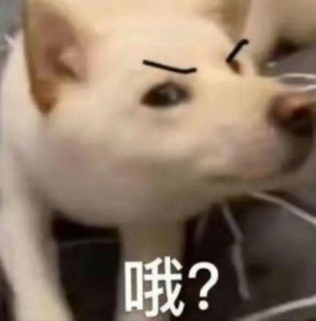 热门表情包爱你真好霸气有爱