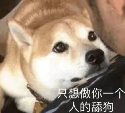 终极舔狗文案极致沙雕