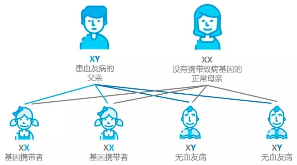 血友病是一种罕见的遗传性凝血障碍疾病,可引起出血时间延长或者自发