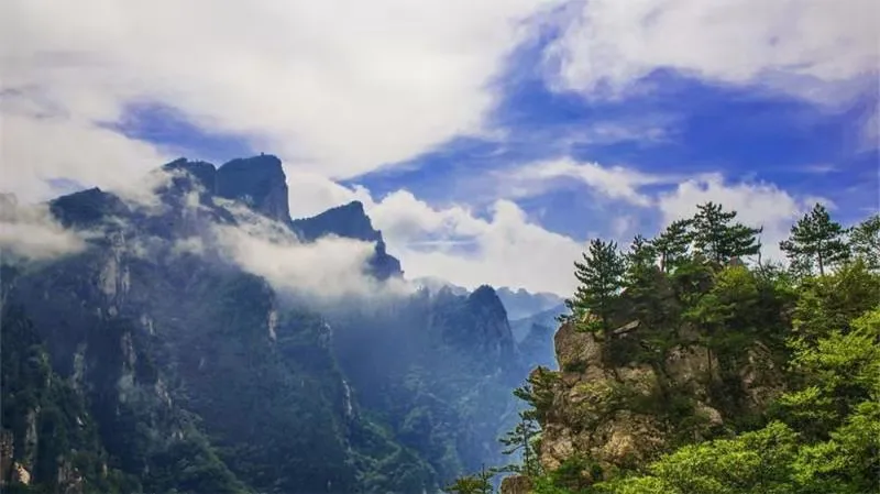 西峡老界岭才是真正的南北分界线 只有你还不知道吗?