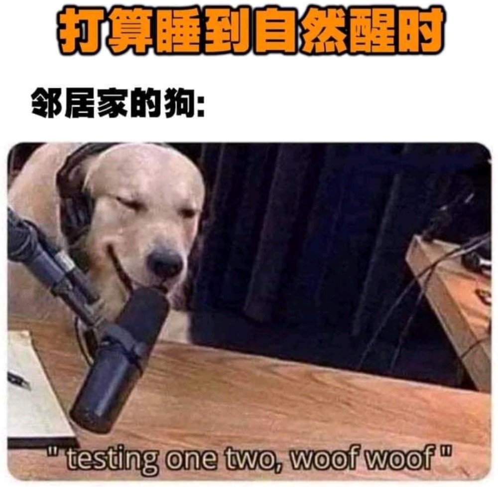 搞笑趣图:当我打算睡到自然醒时,邻居家的狗