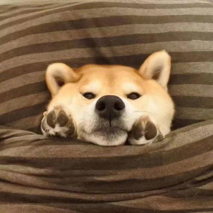 朋友圈背景图
