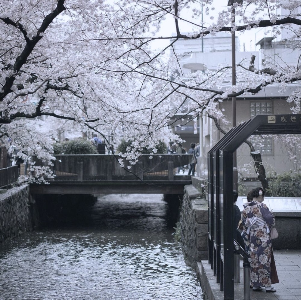 高级感qq封面背景图