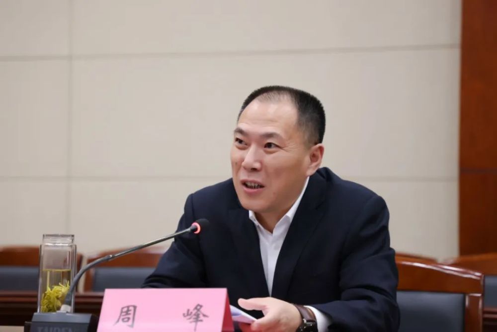 省委巡视办主任周峰来我区调研时强调坚定不移推动全面从严治党向纵深