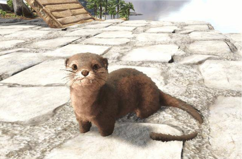 不要被可爱表面所迷惑《方舟生存进化》水獭狡猾至极_腾讯新闻