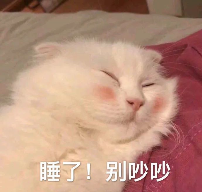 表情包 丨两个人才叫睡觉