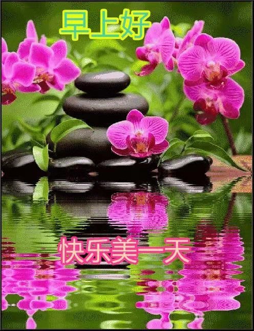 18,早上好,快乐每一天.