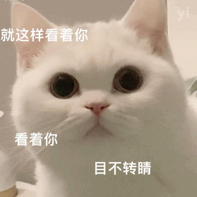 表情包不够用的小伙伴看过来