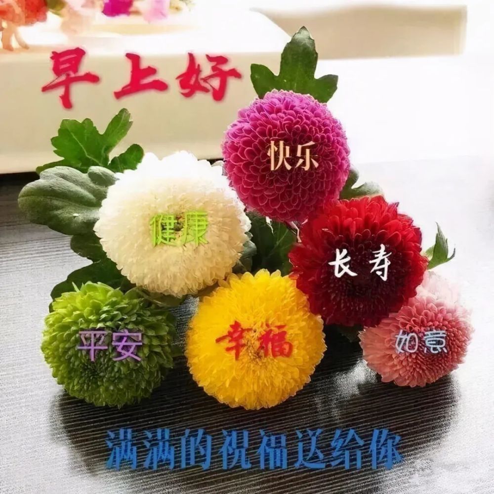 每日早上好问候表情包 让你心情愉快的动态祝福图片