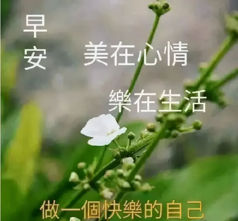 每日早上好问候表情包 让你心情愉快的动态祝福图片