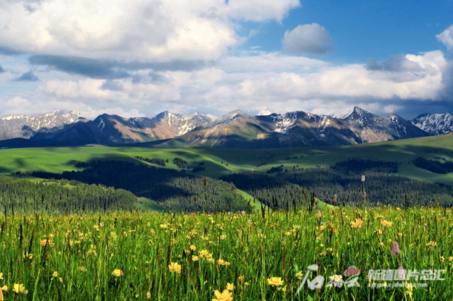 风景如画的喀拉峻草原已经成为最受欢迎的露营地之一(摄于2019年7月