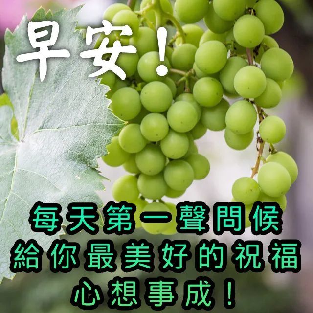 早安愉快祝福语大全 早安图片大全