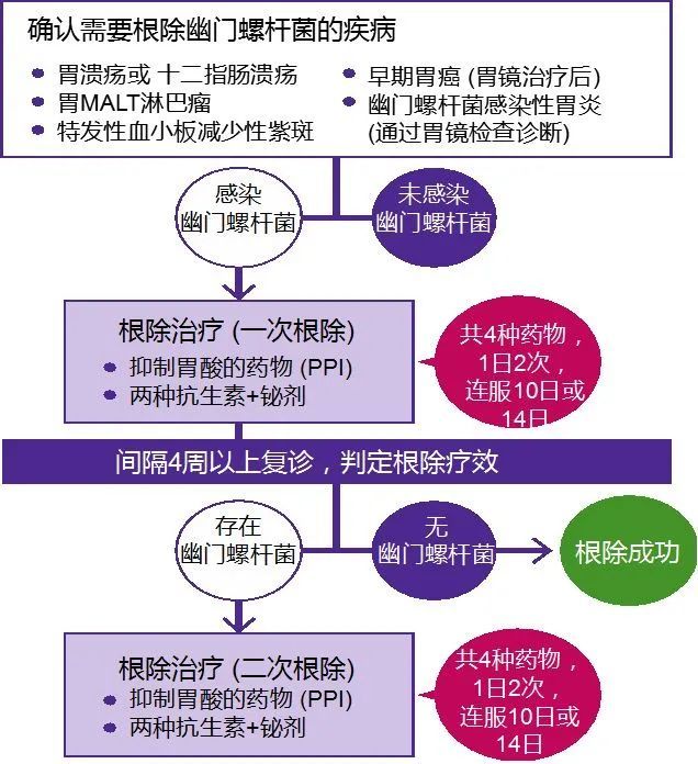 超全面解读,关于幽门螺杆菌,看这一篇文章就够了!