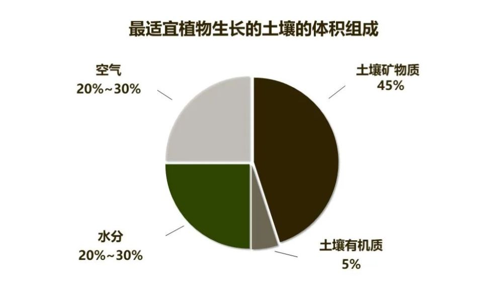 【专题复习】关于土壤的知识点整理_腾讯新闻