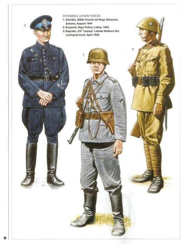 二战德国东线盟军,波罗的海各国军队服装及单兵装备详解.
