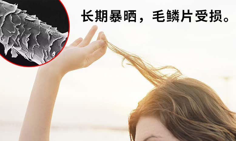 头发做好防晒,发质才能好