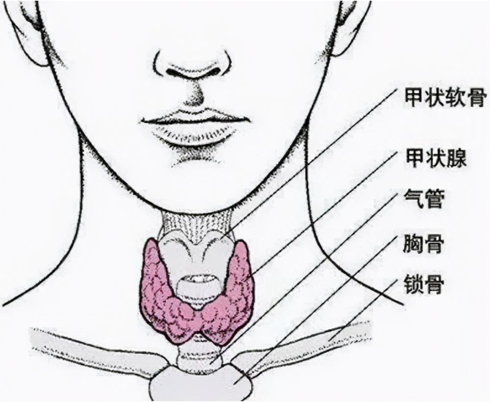 查出甲状腺结节距离癌症有多远