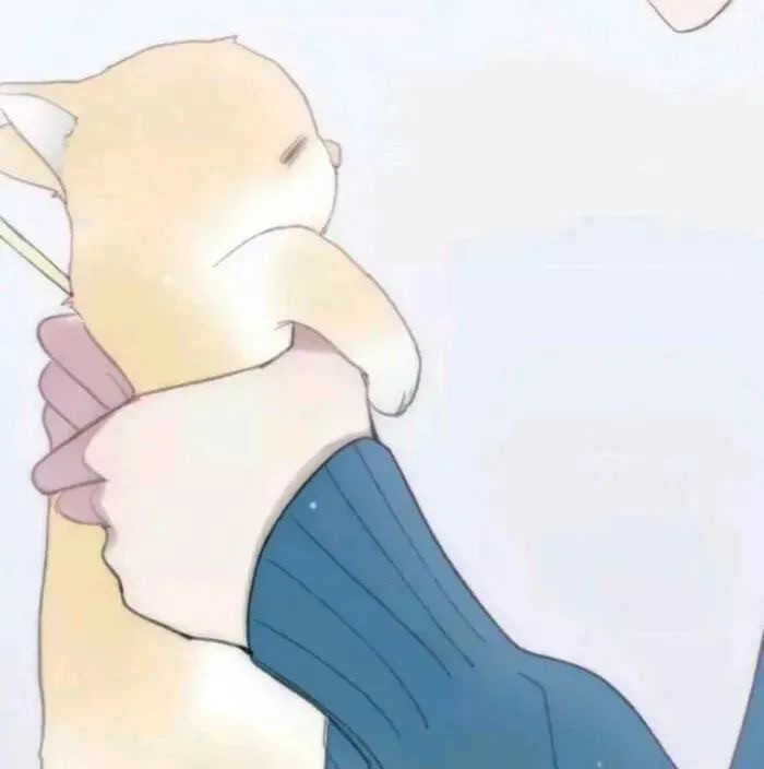 体现憨憨地位的情侣头像