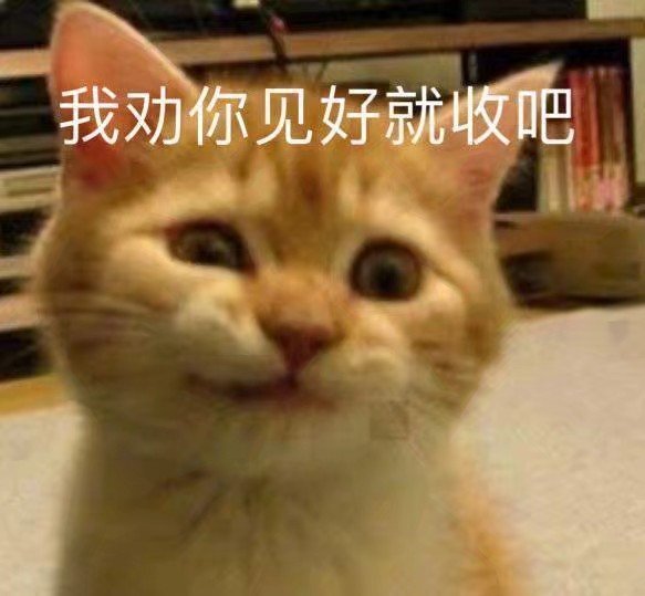 萌宠表情包你很难搞哦头痛