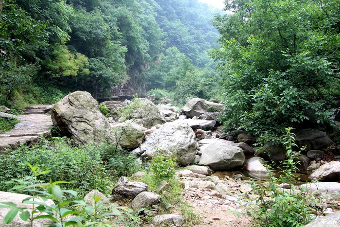 最佳休闲度假胜地 洛阳市栾川县养子沟景区 低音号旅游