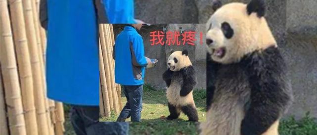 腾讯内容开放平台