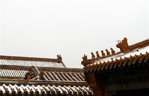 故宫屹立600年,为何屋顶从没有鸟屎?专家勘察发现其中大有玄机