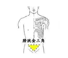 神奇的人体三角区,养好了,疾病不扰