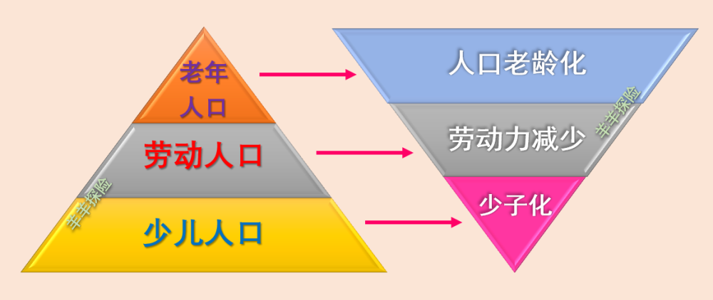 央行工作论文思考|"房产"与"储蓄"哪个更能应对人口老龄化