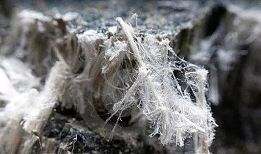 【健康屋】石头里的毛毛居然每年杀死十万人?浅谈石棉的危害