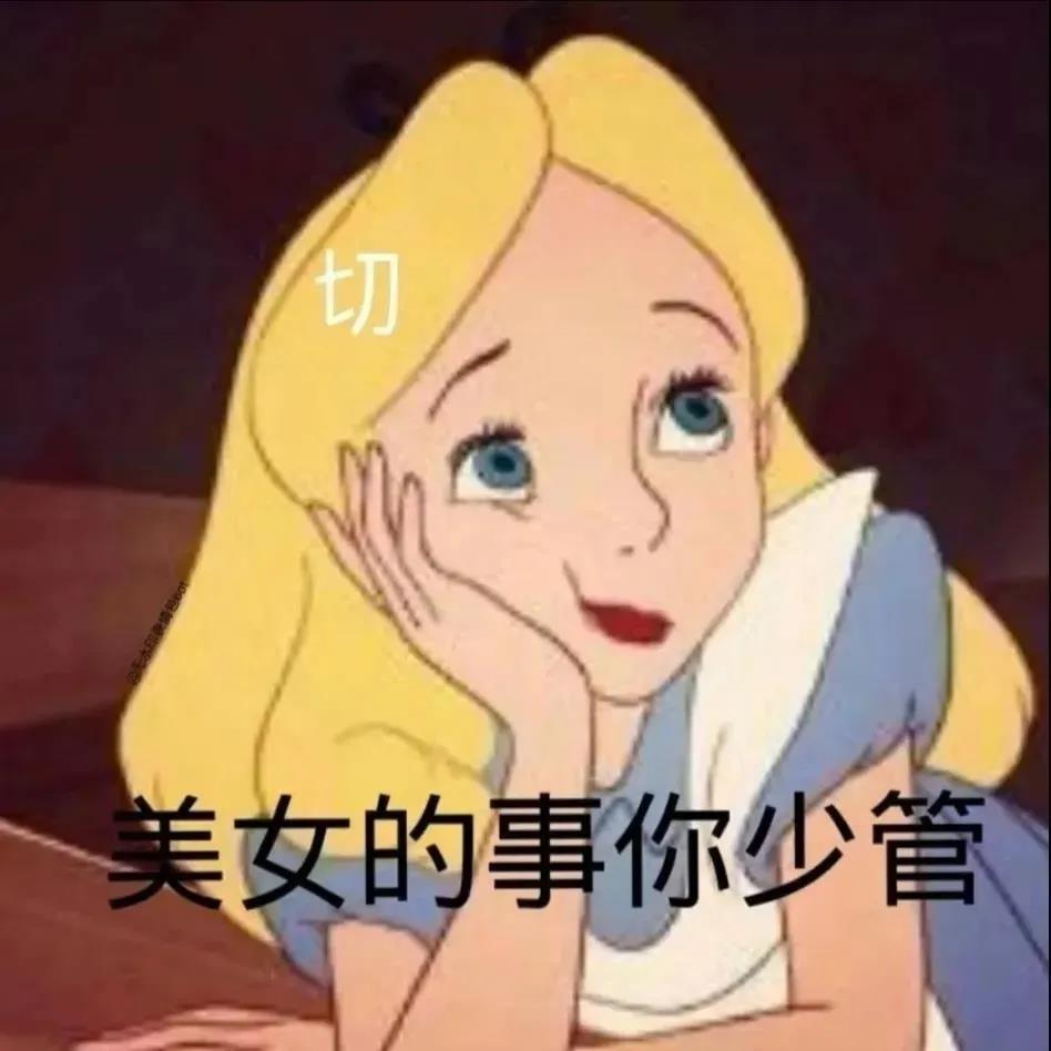 表情包看图美女的事少管