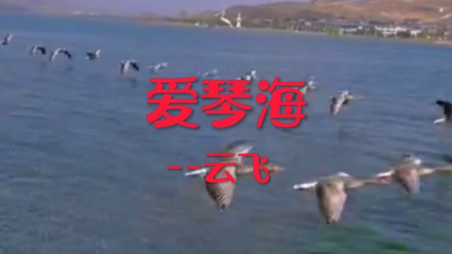 歌曲爱琴海云飞