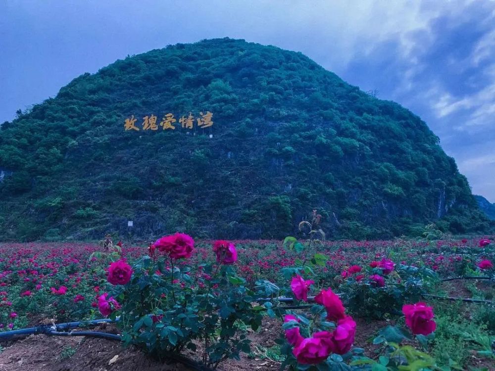 地址: 在地图上搜索"玫瑰爱情湾"即可到达,如下所示