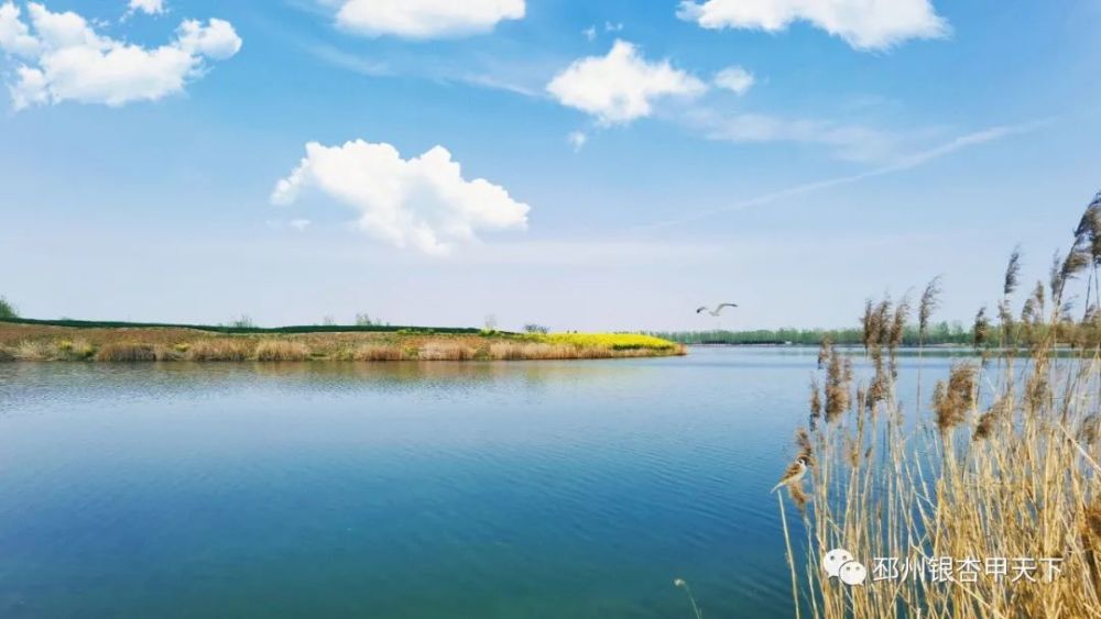 流连而忘返 银杏湖风景区(资料图) 银杏湖风景区位于 邳州市官湖镇