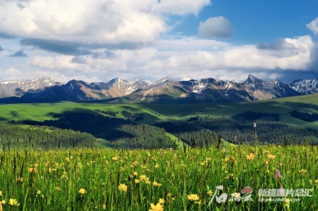 陈继宏摄 喀拉峻景区位于特克斯县境内,这里有高山,草甸,草原,有温泉