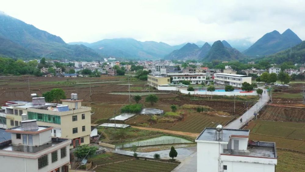 连平县横水村:幸福院让村民安居,三华李让村民乐业