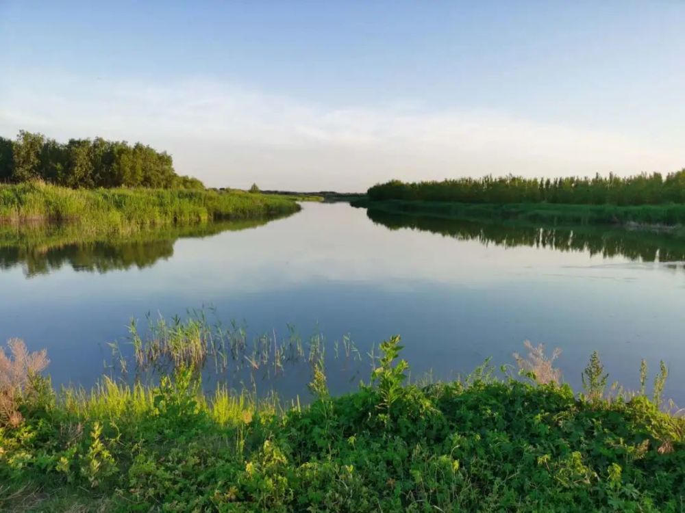 现场直击|黄河水乡国家湿地公园,带你看"精灵"们!