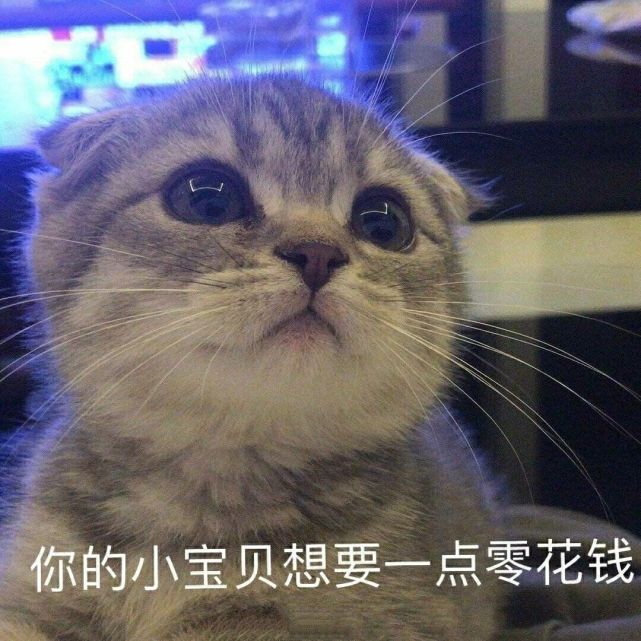 "适合乖乖女和家里要生活费的表情包"