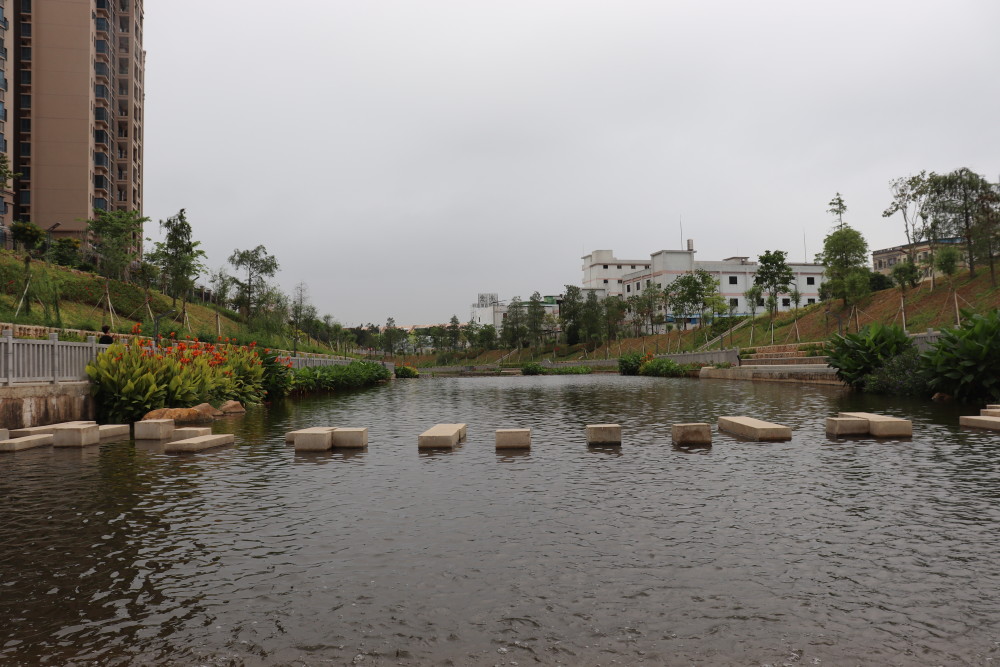 东莞清溪打造"清溪河碧道"生态名片